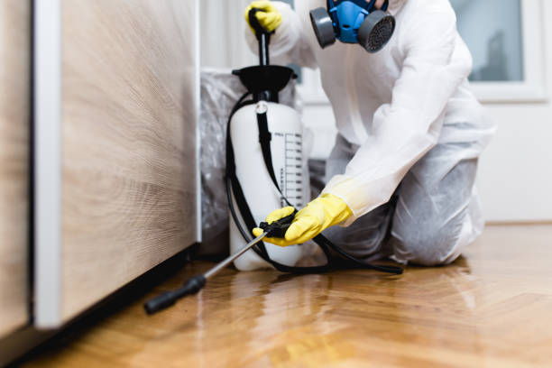 Wasp Removal Services in Brenham, TX