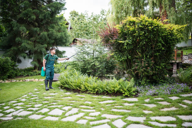 Best Pest Prevention Services  in Brenham, TX