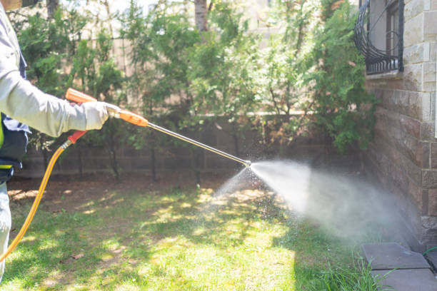 Best Pest Control for Homes  in Brenham, TX